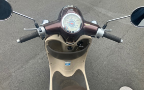 HONDA GIORNO AF70