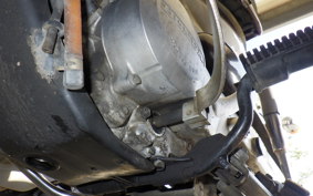 HONDA LITTLE CUB AA01