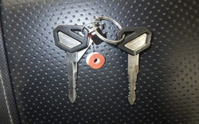 KAWASAKI KLX250D TRACKER X LX250V