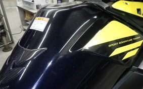 SUZUKI V-STROM 250