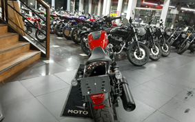 HARLEY HARLEY RH975 NIGHT  STAR 2023 ZH1