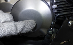 KAWASAKI Z125 PRO 2017 BR125H