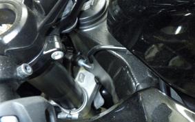 SUZUKI HAYABUSA Gen.3 2024 EJ11A