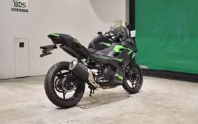 KAWASAKI NINJA 250 2019