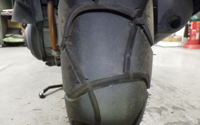 HONDA ZOOMER 2021 AF58