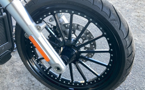 HARLEY FLFBS 2022 YGK