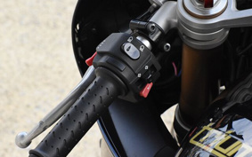 TRIUMPH DAYTONA 675 2007 TMD106