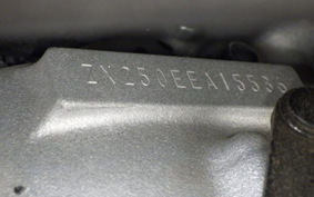 KAWASAKI ZX-25R ZX250E