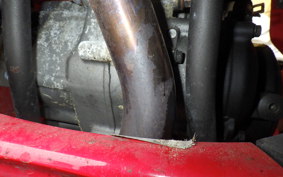 OTHER +ﾒｶﾞﾘ250R