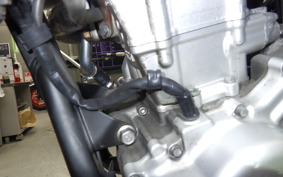 YAMAHA WR250X 2021 DG15J