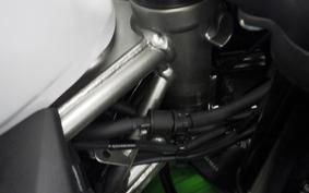 KAWASAKI ZX-4RR 2023 ZX400P