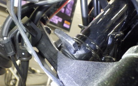 KAWASAKI W800 2022 EJ800E