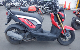HONDA ZOOMER-X JF52