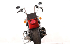 HARLEY FLSTF 2015 BXV