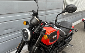 HARLEY  HARLEY X500 2024 W5B
