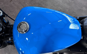 HARLEY FXBBS 2022 YYK