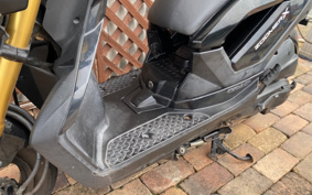 HONDA ZOOMER-X JF52
