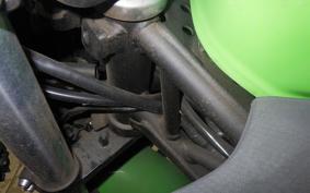 KAWASAKI NINJA 250 EX250P