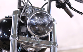 HARLEY FXST 2010 BV5