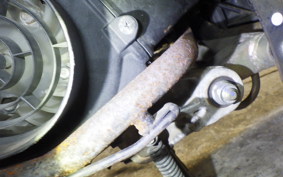 HONDA TODAY 2024 AF61