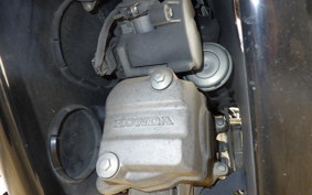 HONDA LITTLE CUB AA01