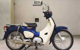 HONDA C110 SUPER CUB 2009 JA44