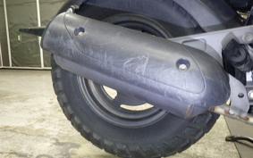 HONDA ZOOMER