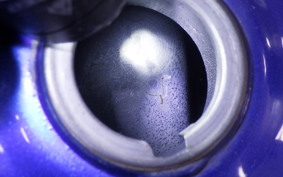 HONDA FTR223 2009 MC34