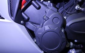 MV AGUSTA F3 800 2024