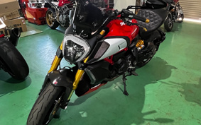DUCATI DIAVEL 1260 2020 GE00