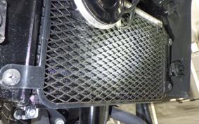 SUZUKI V-STROM 250 1999