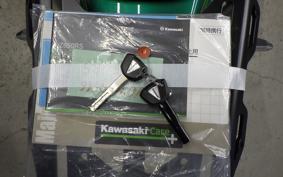 KAWASAKI Z650 RS 2024 ER650M