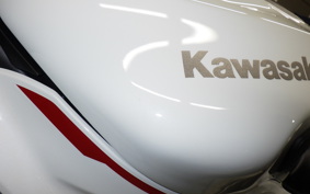 KAWASAKI NINJA ZX-6R A 2025 ZX636J