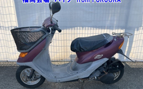 HONDA DIO CHESTER