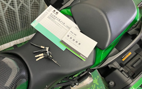 KAWASAKI NINJA 1000 2019 ZXT00W