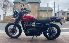 TRIUMPH STREET SCRAMBLER 2019 DAD78G