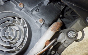 HONDA TODAY 2010 AF61