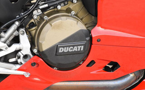 DUCATI 1199 PANIGALE S 2006 H802J
