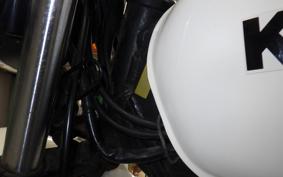 KAWASAKI 250TR 2022 BJ250F