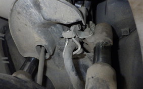 HONDA DIO Gen.5 2025 AF57