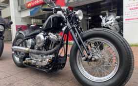 ROAD HOPPER PRO TO  TYPE2 2011 HR3