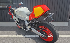 YAMAHA XSR900 GP 2024 RN96J
