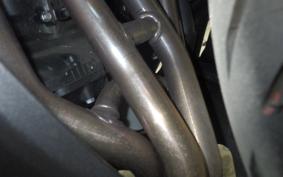 KAWASAKI NINJA 1000 SX 2024 ZXT02K