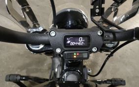 HARLEY FXBB1750 2018 YJJ