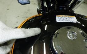 KAWASAKI W800 2016 EJ800A