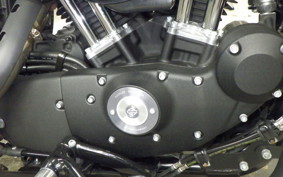 HARLEY XL883N 2015