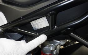 BMW S1000RR M DDC 2024