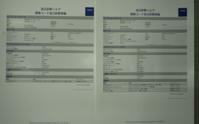 PIAGGIO MP3 250 RL