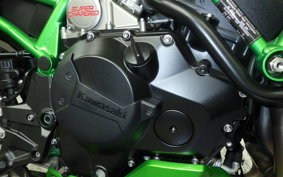 KAWASAKI ZH2 SE 2022