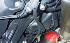 BMW S1000XR 2021